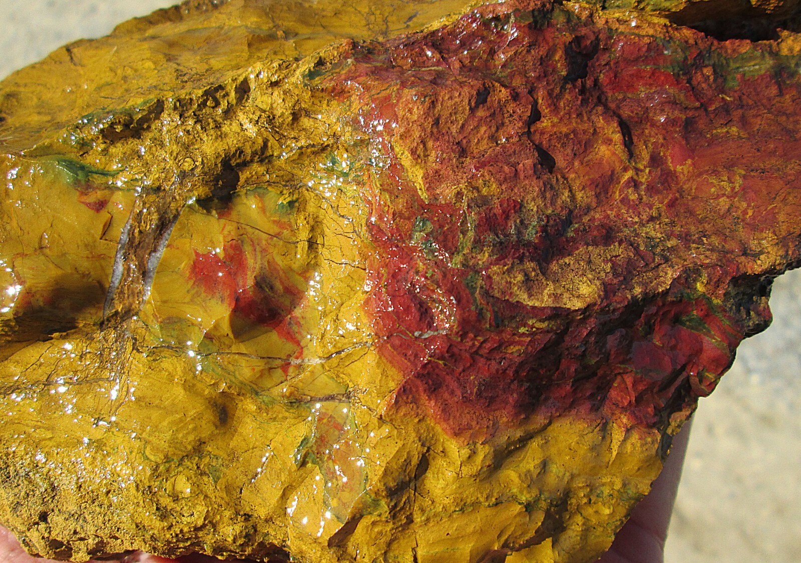 Cady Mountain Jasper Rough 71/4Inch X 5Inch X 31/2Inch 5Lbs 12Ozs New Fr... - $80.00