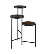 Namid Plant Stand, Black Finish - $3,370.23 MXN