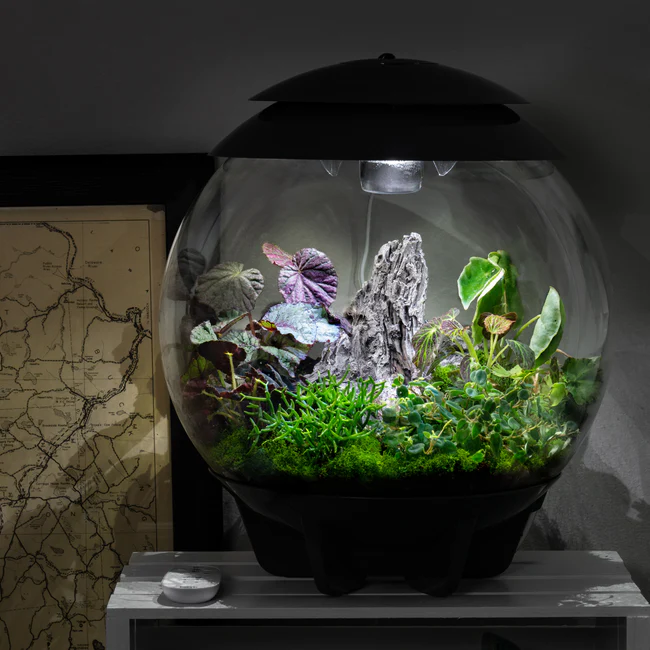 CLK Mystic Garden Terrarium Plant Pack For Biorb Air 30 USA Seller - £149.56 GBP