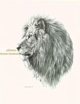 # 108 LION SIDE VIEW * wildlife  art print * pen &amp; ink drawing by Jan Je... - $12.50