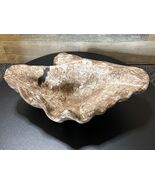 Vintage McCarty Pottery Authentic 12&quot; Handcrafted Half Shell Nutmeg Signed - $401.55 CAD