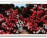 Azaleas in Middleton Gardens Charleston  SC V-Mail Linen Postcard V12 - $3.91