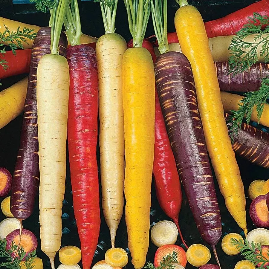 Rainbow Carrot Blend Mix 100 Seeds Non Gmo Heirloom From Us - £6.26 GBP