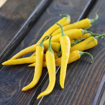 PPA 25 Seeds Golden Cayenne Pepper Garden Vegetables Planting Edible Food - £3.75 GBP