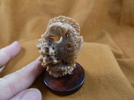 (tb-seah-5) little tan Seahorse Tagua NUT palm figurine Bali carving sea... - $38.56