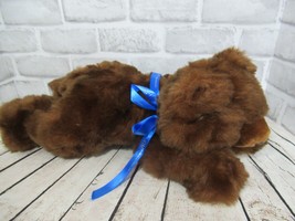 Kimpton Hotels plush brown teddy bear lying down blue bow Purr-Fection M... - £64.28 GBP