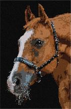 Pepita Needlepoint kit: Horse Up Close, 8&quot; x 12&quot; - £68.49 GBP+
