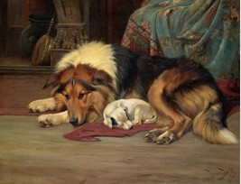 Framed canvas art print giclée no walk today wright barker collie dog - £31.02 GBP+