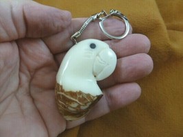 TNE-BIR-PAR-714b Parrot head tropical bird TAGUA NUT keychain carving lo... - £12.68 GBP