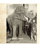 1930 Betty Bell Circus Print Elephant Babe Antique Carnival Ephemera 8 x 5 - £23.59 GBP