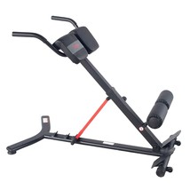 Sunny Health &amp; Fitness Hyperextension incline,flat Roman Chair with Dip ... - £189.89 GBP