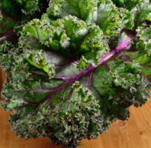 Kale RED RUSSIAN Tender Mild Leaves Heirloom Healthy Foods NonGMO 500 Seeds - £6.96 GBP