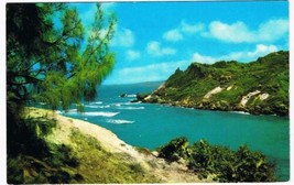 Barbados Caribbean Island Postcard Cove Bay St Lucy - £3.10 GBP