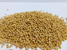 mustard seeds 200 gram حبوب الخردل 200 غرام - $15.00