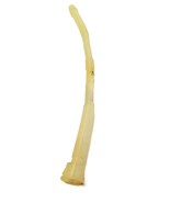 12509 Thetford AM4 Flush Tube for Early Aqua Magic IV Toilets - $302.66 MXN