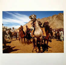 Chris Steele-Perkins - Signed Photo - Magnum Square Print Limited Edition - £315.66 GBP