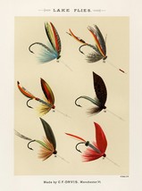 13838.Decor Poster.Room interior art design.Fishing fly.Fish market bait shop - £12.90 GBP+