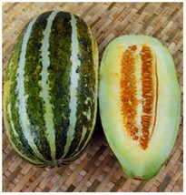 SGHOST 20 Seeds Thai Melon Seeds Vietnam Dua Gang Seeds Musk Melon Long Muskmelo - £6.95 GBP