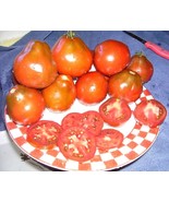 100 Red Pear Tomato Lycopersicon Indeterminate Fruit Vegetable Seeds Fre... - €12,54 EUR