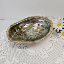Large Vintage Abalone Sea Shell Nautical Trinket Dish Bowl 7-1/2&quot; X 6&quot; X 2-1/2&quot; - £20.87 GBP