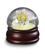 Edelweiss Flower Mushroom Musical Water Globe - £42.23 GBP