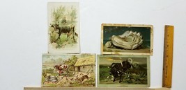 FOUR Victorian Trade Cards ARIOSA COFFEE Cow OYSTER COOKING Beeman Grain... - £6.80 GBP