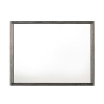 Jehoram 50&quot;x38&quot; Mirror, Gray Finish - $265.00