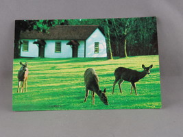 Vintage Postcard - Fort Rodd National Park Canada - Parks Canada - £11.71 GBP