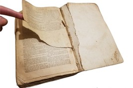 Item image 7