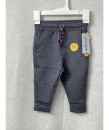 Toddler Boys&#39; Jogger Pants Expandable Stretch - Cat &amp; Jack Gray/Blue - S... - £5.93 GBP