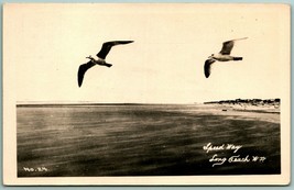 RPPC Seagulls Speed Way Long Beach Washington WA Postcard H3 - £8.13 GBP