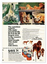 Hill&#39;s For Dogs Dog Food Irish Setter Vintage 1972 Full-Page Magazine Ad - £7.57 GBP