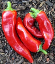 Red Marconi Pepper Seeds Imported Italian 75 Fresh Seeds Fast Shipping - $13.08