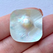 Mabe Blister Pearl Square 26x26 mm Cabochon Sea Gemstones for Silversmiths - £26.17 GBP