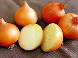 400 Yellow Sweet Spanish Onion Seeds Vegetable Garden Long Day Summer - £14.14 GBP