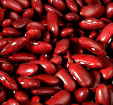 65-1100 Seeds Dark Red Kidney Bush Bean Seeds Baked Beans and Chili NON-GMO - £12.98 GBP+