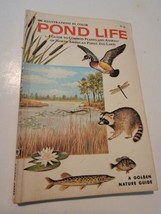 Pond Life A Golden Nature Guide by George Reid 1967 Illustrations Vintage 1960s - £11.70 GBP
