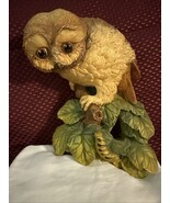 Vintage Bossons Chalkware 1965 Owl Owlet on Tree Branch Wall Plaque – Nice! - $446.97 MXN Vintage Bossons Chalkware 1965 Owl Owlet on Tree Branch Wall Plaque – Nice! - $446.97 MXN