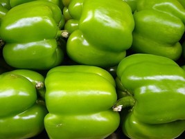 BStore 190 Seeds Big Green Bell Pepper Sweet Capsicum Annuum VegetableA - £7.47 GBP