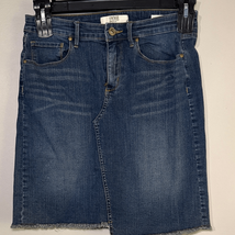 Vintage America Blue Denim Wonderland Midi Skirt - $14.70