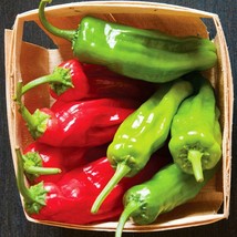 Fast Ship USA Seller Shishito Hot Pepper - $13.92