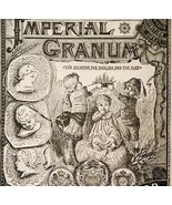 Imperial Granum 1885 Advertisement Victorian Quack Medicine Food DWLL2 - €21,55 EUR