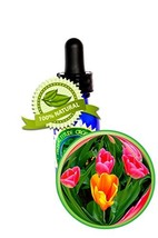 Tulip Absolute Essential Oil - 100% PURE Tulipa Gesneriana - 15ml (1/2oz) - £70.49 GBP