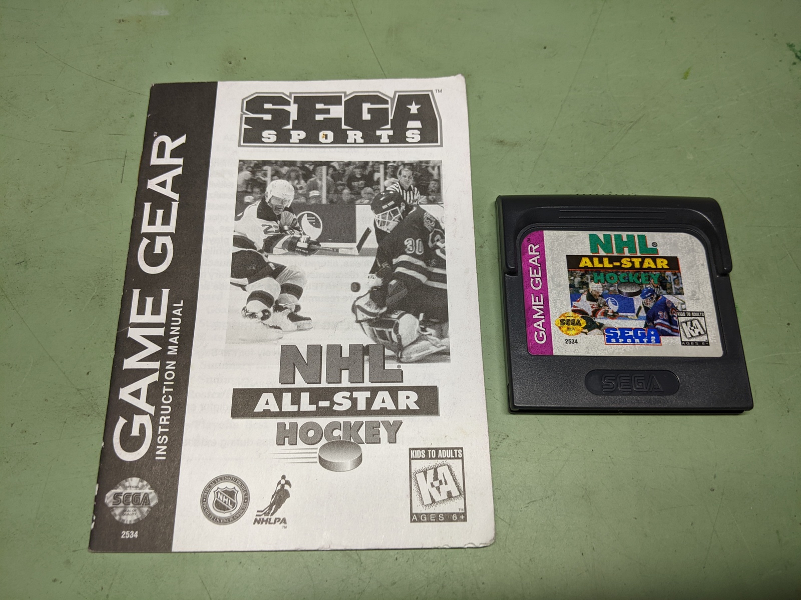 NHL All-Star Hockey Sega Game Gear Disk and Manual - $5.70