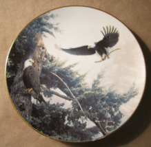 Bald Eagle Collector Plate Robert Copple Building For A New Generation Bird Prey - £15.97 GBP