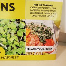 Fox Planter with Microgreens Seed Kit, gardening gift, ceramic animal planter image 8