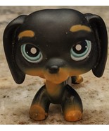 Authentic Littlest Pet Shop LPS #325 - Dachshund Black Dog Blue Purple Eyes - £23.11 GBP
