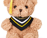 Graduation Teddy Bear 9&quot; Stuffed Animal with Black Grad Cap Soft Bear Ki... - $29.77