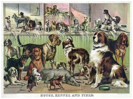 4453.house.kennel and field.various dogs.POSTER.decor Home Office art - £13.75 GBP+