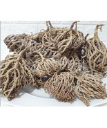 Flower Of Maryam Chaste Tree Herbs Palm Of Mary (75g) عشبة كف مريم - €33,48 EUR